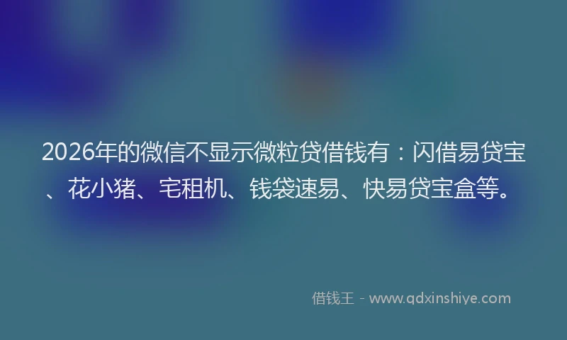 2026年的微信不显示微粒贷借钱有：闪借易贷宝、花小猪、宅租机、钱袋速易、快易贷宝盒等。