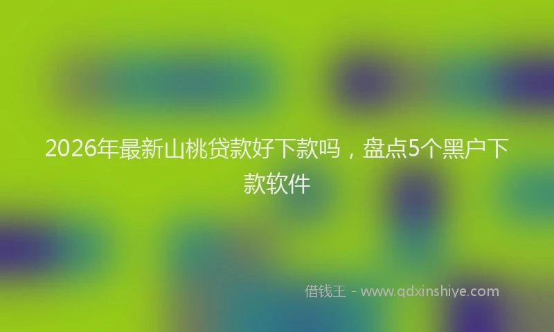 2026年最新山桃贷款好下款吗，盘点5个黑户下款软件