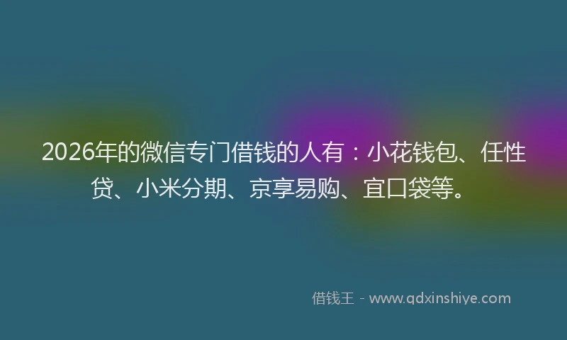 2026年的微信专门借钱的人有：小花钱包、任性贷、小米分期、京享易购、宜口袋等。