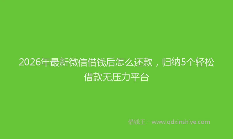 2026年最新微信借钱后怎么还款，归纳5个轻松借款无压力平台