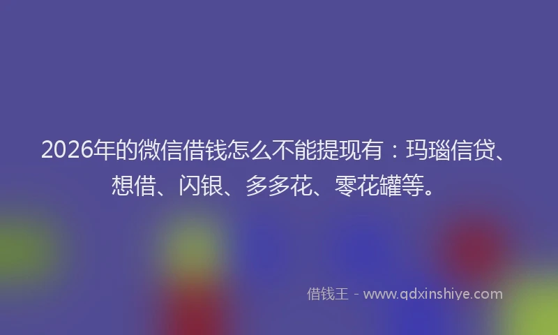 2026年的微信借钱怎么不能提现有：玛瑙信贷、想借、闪银、多多花、零花罐等。