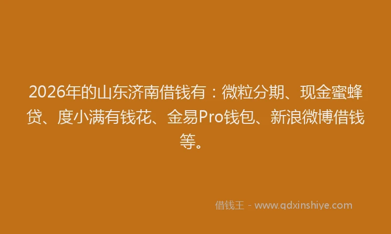 2026年的山东济南借钱有：微粒分期、现金蜜蜂贷、度小满有钱花、金易Pro钱包、新浪微博借钱等。