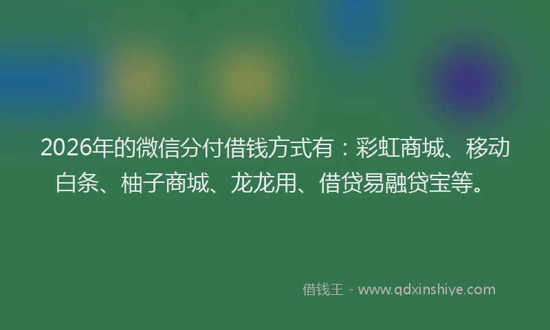 2026年的微信分付借钱方式有：彩虹商城、移动白条、柚子商城、龙龙用、借贷易融贷宝等。