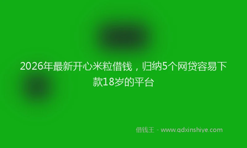 2026年最新开心米粒借钱，归纳5个网贷容易下款18岁的平台