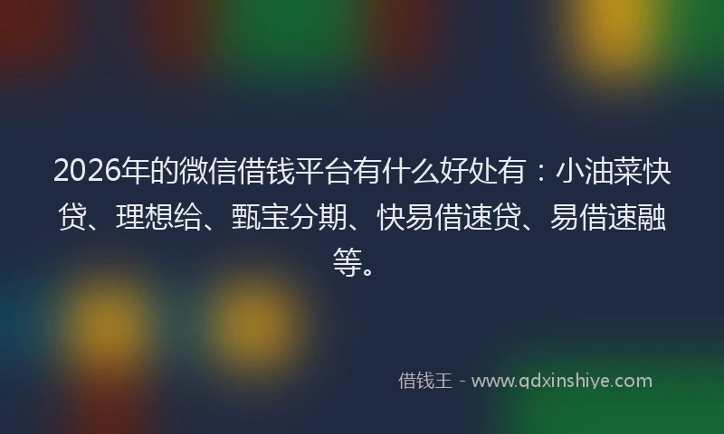 2026年的微信借钱平台有什么好处有：小油菜快贷、理想给、甄宝分期、快易借速贷、易借速融等。