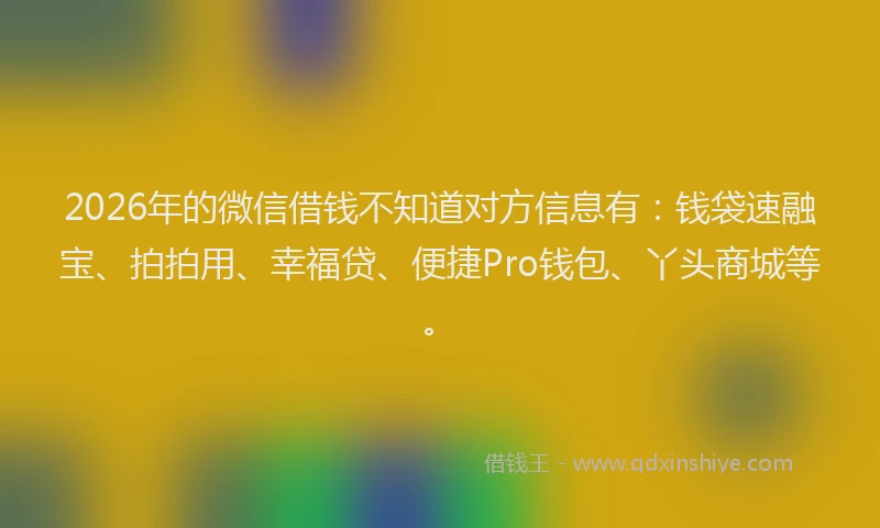 2026年的微信借钱不知道对方信息有：钱袋速融宝、拍拍用、幸福贷、便捷Pro钱包、丫头商城等。