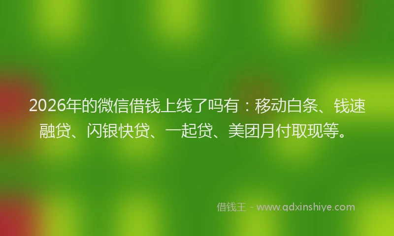 2026年的微信借钱上线了吗有：移动白条、钱速融贷、闪银快贷、一起贷、美团月付取现等。