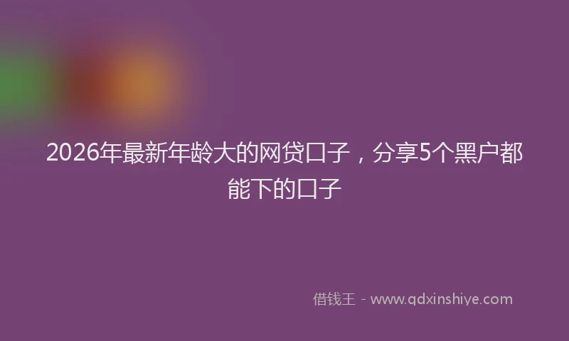 2026年最新年龄大的网贷口子，分享5个黑户都能下的口子