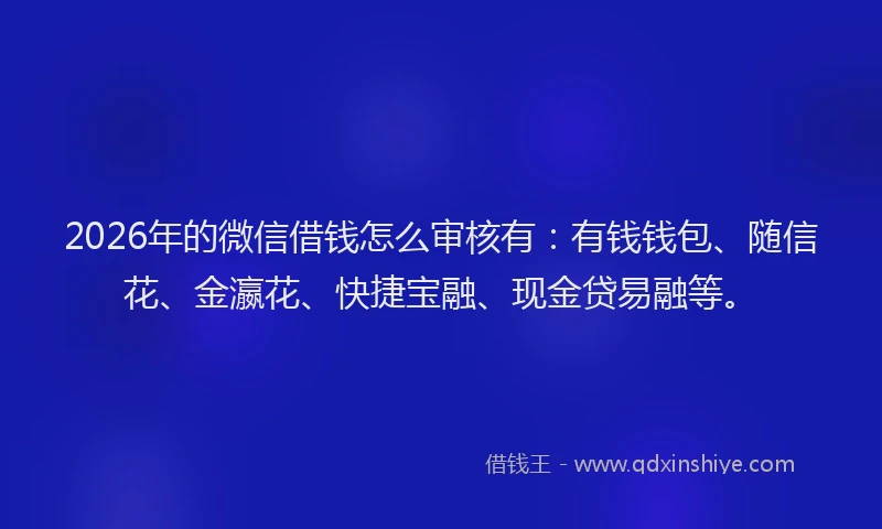 2026年的微信借钱怎么审核有：有钱钱包、随信花、金瀛花、快捷宝融、现金贷易融等。