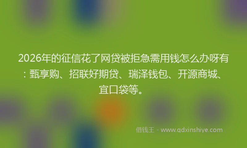 2026年的征信花了网贷被拒急需用钱怎么办呀有：甄享购、招联好期贷、瑞泽钱包、开源商城、宜口袋等。