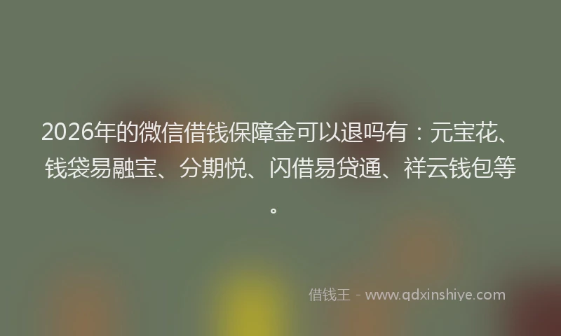 2026年的微信借钱保障金可以退吗有：元宝花、钱袋易融宝、分期悦、闪借易贷通、祥云钱包等。