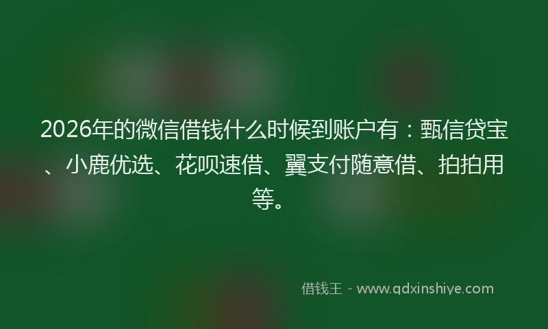 2026年的微信借钱什么时候到账户有：甄信贷宝、小鹿优选、花呗速借、翼支付随意借、拍拍用等。