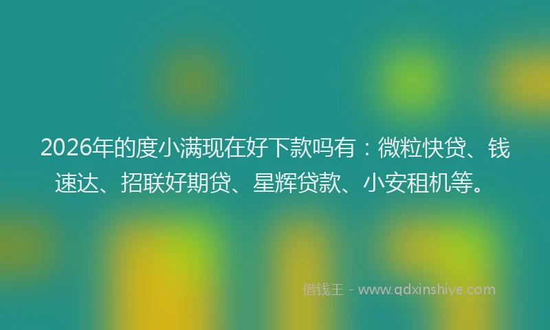 2026年的度小满现在好下款吗有：微粒快贷、钱速达、招联好期贷、星辉贷款、小安租机等。