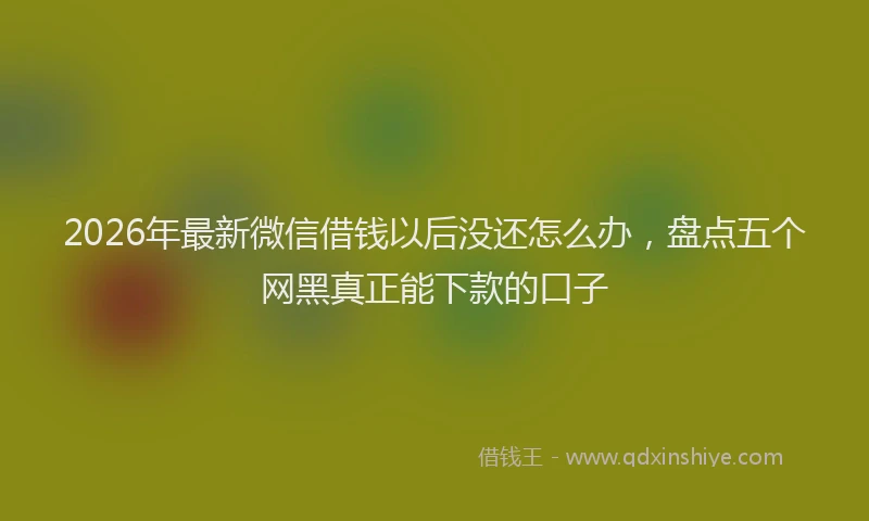 2026年最新微信借钱以后没还怎么办，盘点五个网黑真正能下款的口子