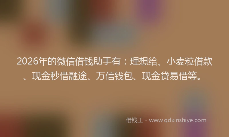 2026年的微信借钱助手有：理想给、小麦粒借款、现金秒借融途、万信钱包、现金贷易借等。
