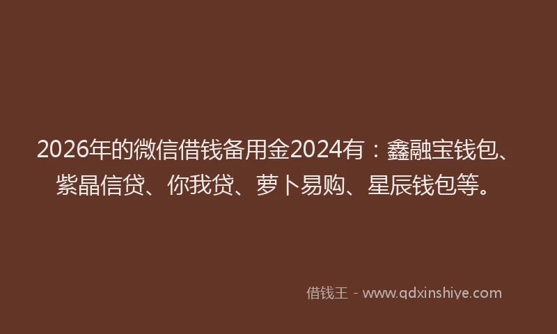 2026年的微信借钱备用金2024有：鑫融宝钱包、紫晶信贷、你我贷、萝卜易购、星辰钱包等。