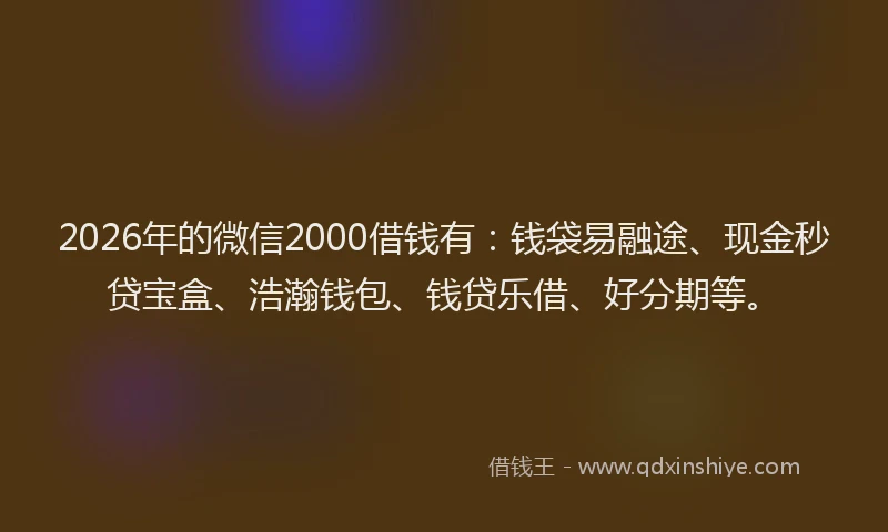 2026年的微信2000借钱有：钱袋易融途、现金秒贷宝盒、浩瀚钱包、钱贷乐借、好分期等。