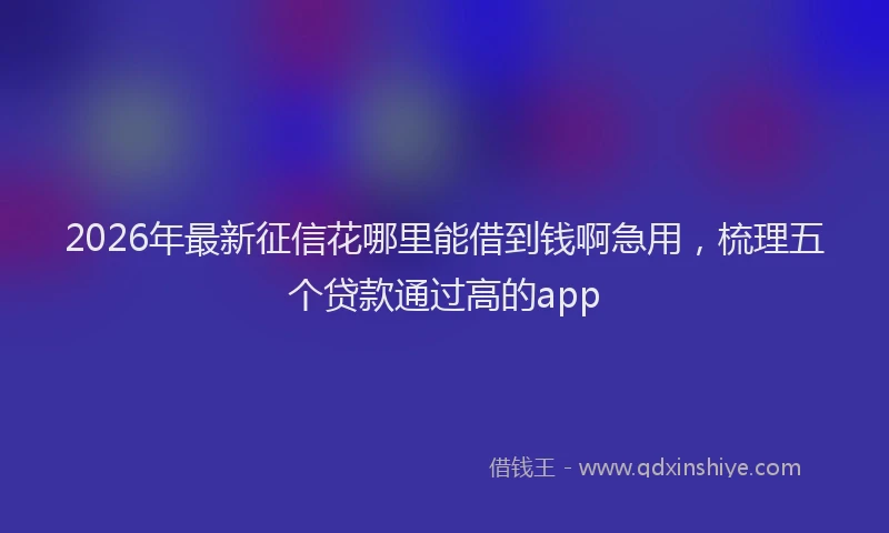 2026年最新征信花哪里能借到钱啊急用，梳理五个贷款通过高的app