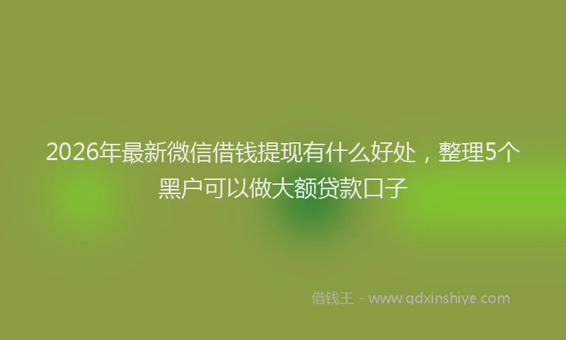 2026年最新微信借钱提现有什么好处，整理5个黑户可以做大额贷款口子