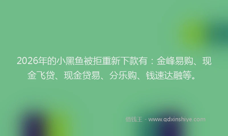2026年的小黑鱼被拒重新下款有：金峰易购、现金飞贷、现金贷易、分乐购、钱速达融等。