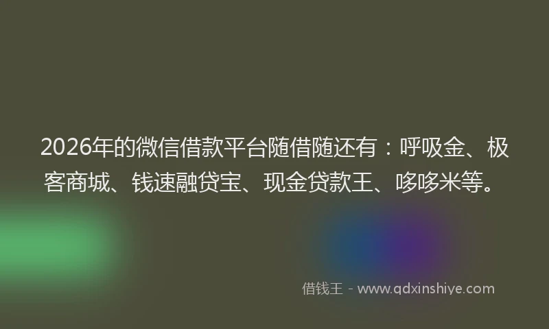 2026年的微信借款平台随借随还有：呼吸金、极客商城、钱速融贷宝、现金贷款王、哆哆米等。