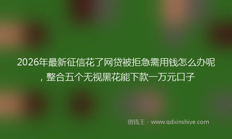 2026年最新征信花了网贷被拒急需用钱怎么办呢，整合五个无视黑花能下款一万元口子