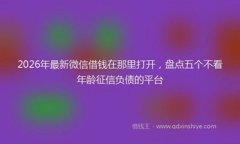 2026年最新微信借钱在那里打开，盘点五个不看年龄征信负债的平台