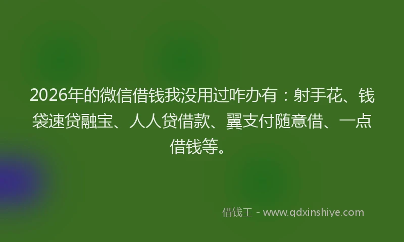 2026年的微信借钱我没用过咋办有：射手花、钱袋速贷融宝、人人贷借款、翼支付随意借、一点借钱等。