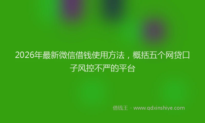 2026年最新微信借钱使用方法，概括五个网贷口子风控不严的平台