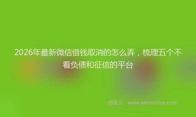 2026年最新微信借钱取消的怎么弄，梳理五个不看负债和征信的平台