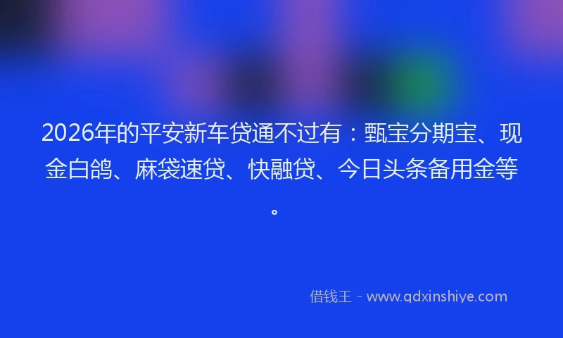 2026年的平安新车贷通不过有：甄宝分期宝、现金白鸽、麻袋速贷、快融贷、今日头条备用金等。