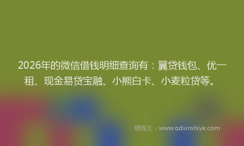 2026年的微信借钱明细查询有：翼贷钱包、优一租、现金易贷宝融、小熊白卡、小麦粒贷等。