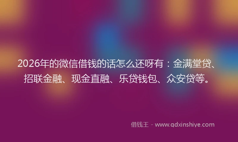 2026年的微信借钱的话怎么还呀有：金满堂贷、招联金融、现金直融、乐贷钱包、众安贷等。