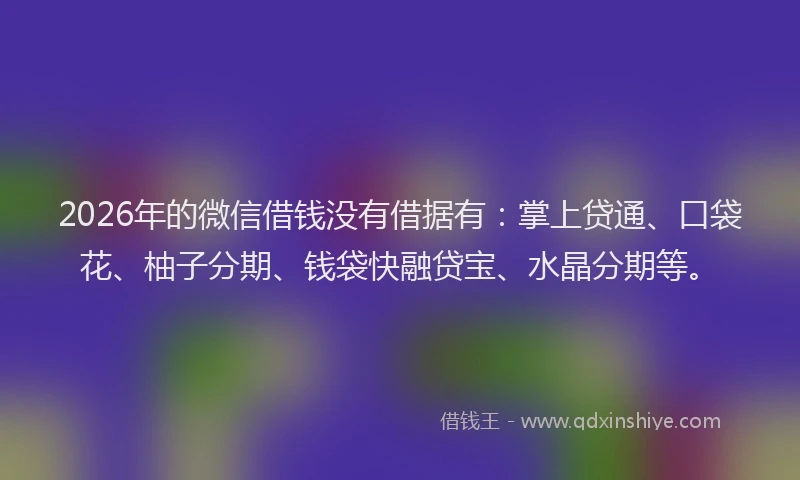 2026年的微信借钱没有借据有：掌上贷通、口袋花、柚子分期、钱袋快融贷宝、水晶分期等。