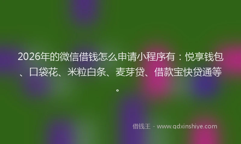 2026年的微信借钱怎么申请小程序有：悦享钱包、口袋花、米粒白条、麦芽贷、借款宝快贷通等。