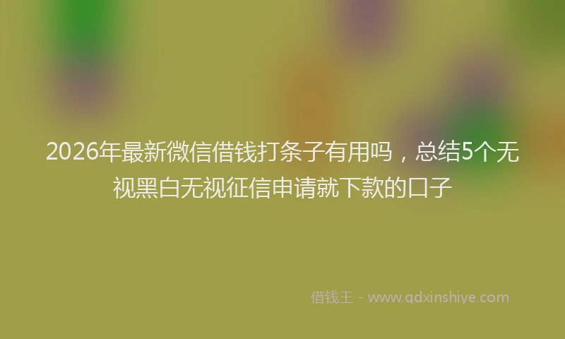2026年最新微信借钱打条子有用吗，总结5个无视黑白无视征信申请就下款的口子