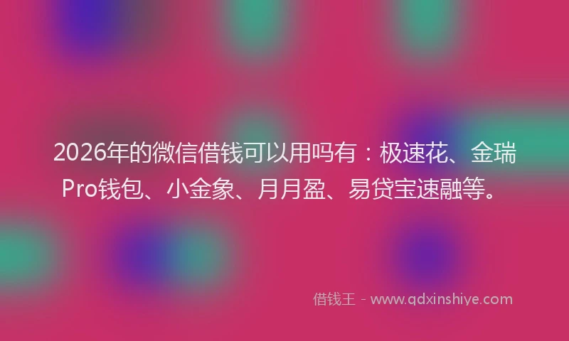 2026年的微信借钱可以用吗有：极速花、金瑞Pro钱包、小金象、月月盈、易贷宝速融等。