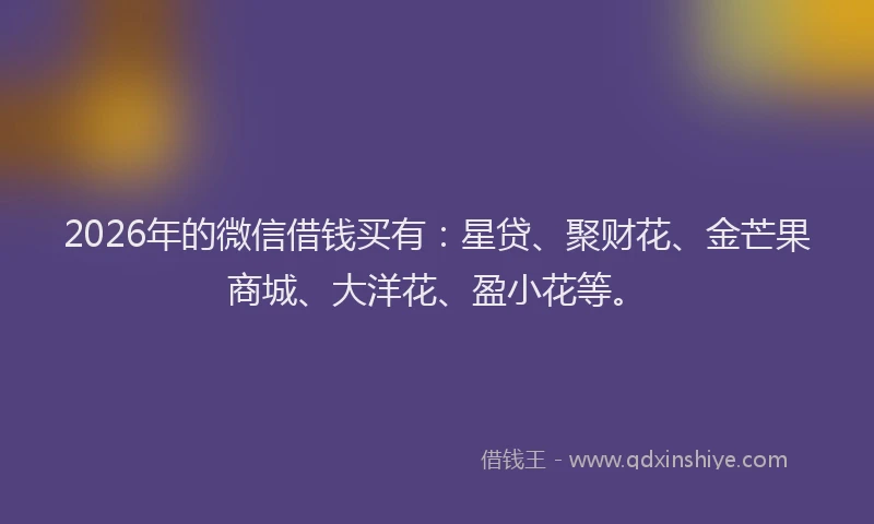 2026年的微信借钱买有：星贷、聚财花、金芒果商城、大洋花、盈小花等。