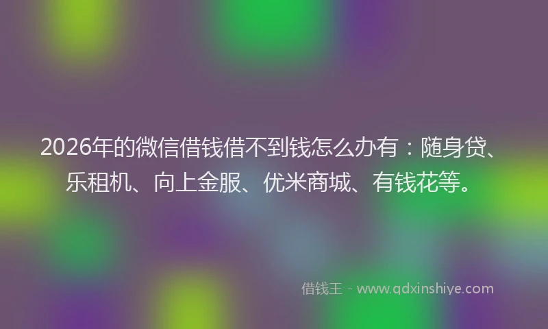 2026年的微信借钱借不到钱怎么办有：随身贷、乐租机、向上金服、优米商城、有钱花等。