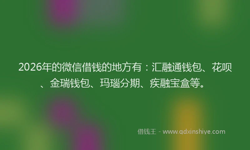 2026年的微信借钱的地方有：汇融通钱包、花呗、金瑞钱包、玛瑙分期、疾融宝盒等。
