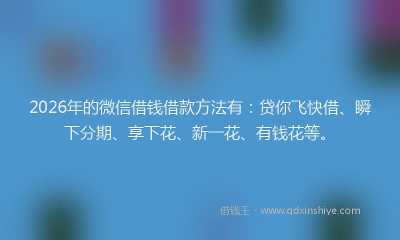 2026年的微信借钱借款方法有：贷你飞快借、瞬下分期、享下花、新一花、有钱花等。