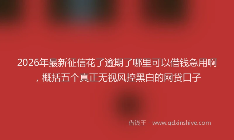 2026年最新征信花了逾期了哪里可以借钱急用啊，概括五个真正无视风控黑白的网贷口子