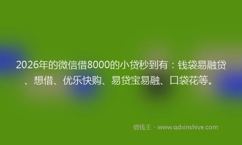 2026年的微信借8000的小贷秒到有：钱袋易融贷、想借、优乐快购、易贷宝易融、口袋花等。