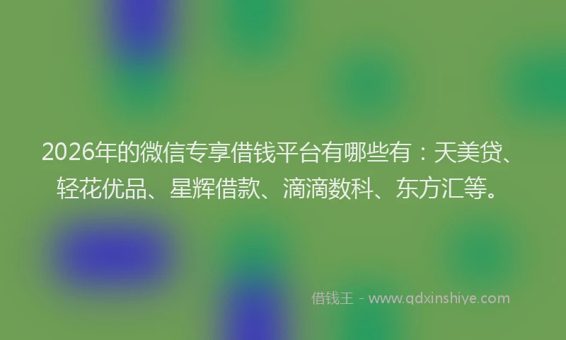 2026年的微信专享借钱平台有哪些有：天美贷、轻花优品、星辉借款、滴滴数科、东方汇等。