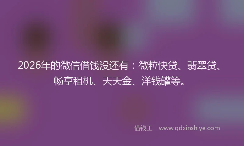 2026年的微信借钱没还有：微粒快贷、翡翠贷、畅享租机、天天金、洋钱罐等。