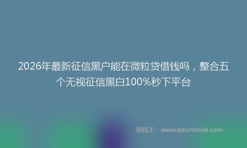 2026年最新征信黑户能在微粒贷借钱吗，整合五个无视征信黑白100%秒下平台