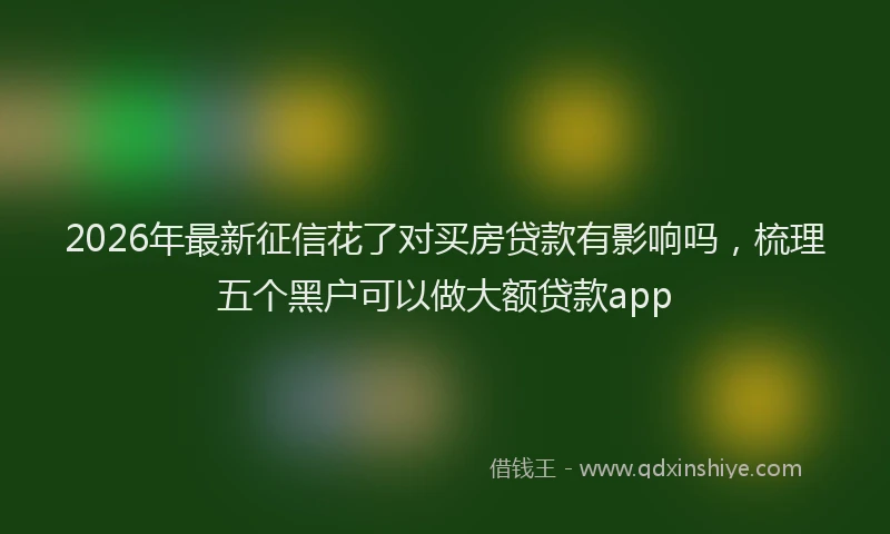 2026年最新征信花了对买房贷款有影响吗，梳理五个黑户可以做大额贷款app