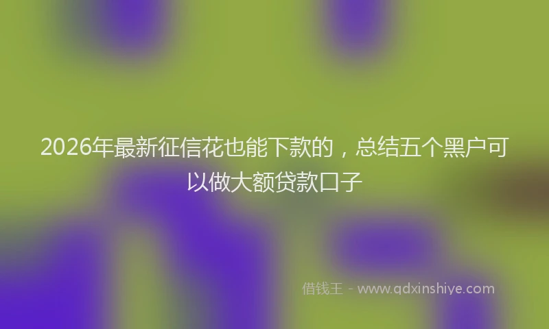 2026年最新征信花也能下款的，总结五个黑户可以做大额贷款口子