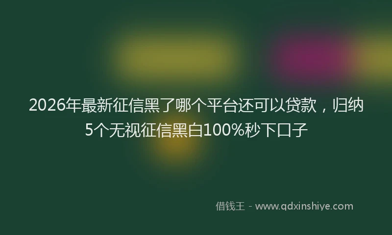 2026年最新征信黑了哪个平台还可以贷款，归纳5个无视征信黑白100%秒下口子