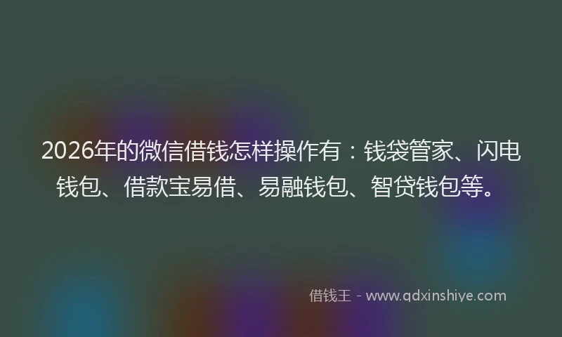 2026年的微信借钱怎样操作有：钱袋管家、闪电钱包、借款宝易借、易融钱包、智贷钱包等。